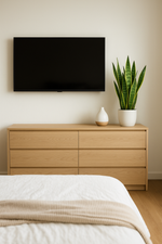 🌿 Sansevieria Laurentii (Lengua de Suegra)