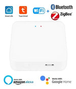 Hub Inteligente ZigBee: El Cerebro de tu Jardín Automatizado