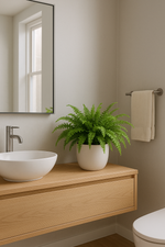 🌿 Helecho Peineta