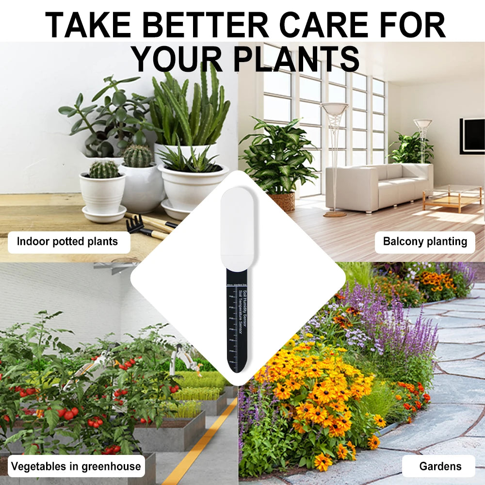Sensor Inteligente Zigbee: La Herramienta Esencial para el Cuidado de tus Plantas
